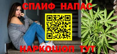 стаф Бийск