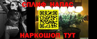 стаф Бийск
