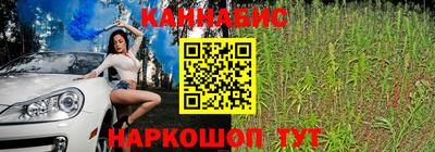 метадон Берёзовский