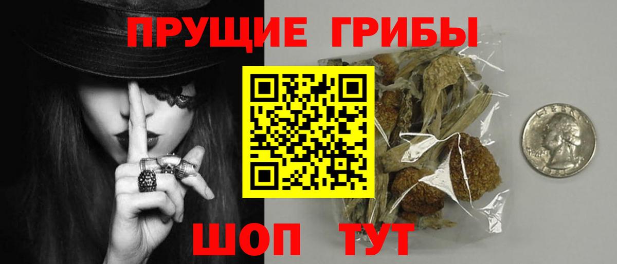 Альфа ПВП Щёкино