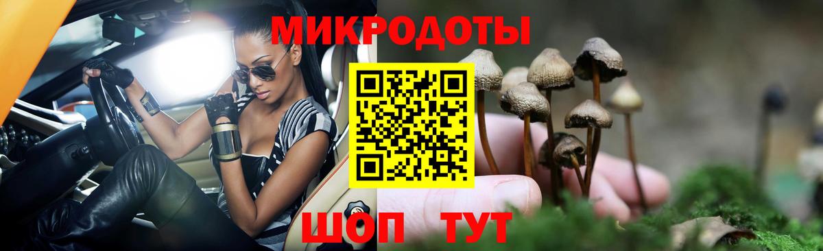 Щёкино  где найти наркотики  Галлюциногенные грибы прущие грибы  Вход с VPN  Псилоцибиновые грибы мицелий 